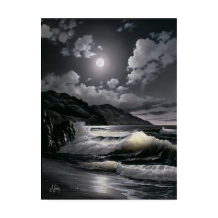 Anthony Casay 'Waves Under The Moon 4' Canvas Art,24x32